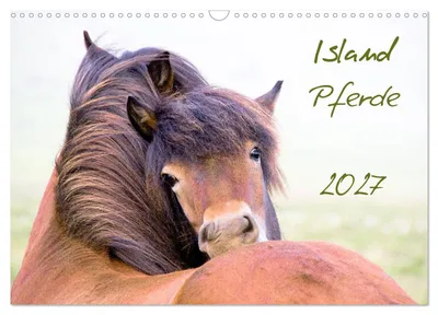 Produktbild von Islandpferde (Wandkalender 2027 DIN A3 quer), CALVENDO Monatskalender