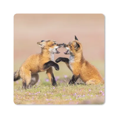 Produktbild von MuchoWow® Mauspad Mousepad Füchse - Blumen - Porträt 30x30 cm - Mousepads - Maus Mat - Pad - Mausunterlage - Gaming