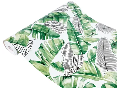 Produktbild von Klebefolie Möbel 45x490 cm - Exotische Blätter - Selbstklebende Möbelfolie in Deko-Stil - Folie für Möbel ideal zum Renovieren von Schränken, Türen und Arbeitsplatten