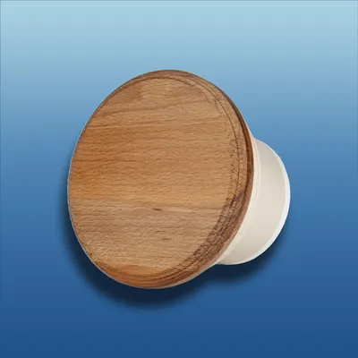 Produktbild von Saunalüfter WOOD rund Ø 100 mit Rückstauklappe