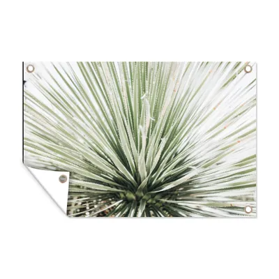 Obrázek produktu pro MuchoWow® Zahradní plakáty - Zelená - Listy - Příroda - 60x90 cm - Zahradní dekorace