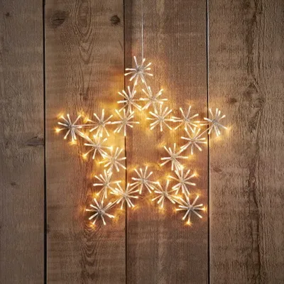 Immagine prodotto di Stella LED-Silhouette 'Fiore, 200 ww LED