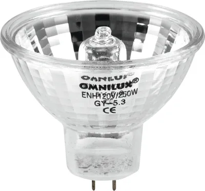 Immagine prodotto di Omnilux Enh 120V/250W Gy-5.3