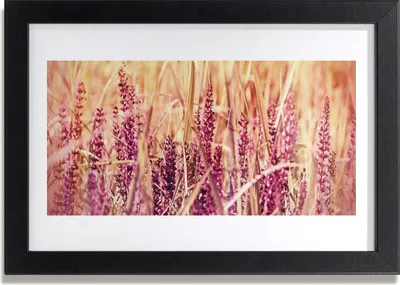 Produktbild von Bild 30x20 MDF-Rahmen Wandkunst Weizenpflanze Natur