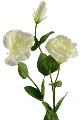 Zdjęcie produktu dla Viridis Kwiat Sztuczny Eustoma 70Cm Gumowany