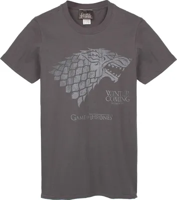 Produktbild von Game of Thrones - "Winter Is Coming" T-Shirt für Herren NS7371 (S) (Grau)