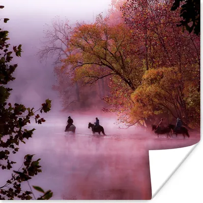 Produktbild von MuchoWow® Poster Pferde - Nebel - Wald 75x75 cm - Wand Dekoration