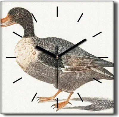 Produktbild von Coloray Hodiny Unikátní 30x30 cm  Tiché hodiny Pro obývací pokoj a kuchyň Nástěnné hodiny Plátno Černé ručičky hodin - Bird Duck
