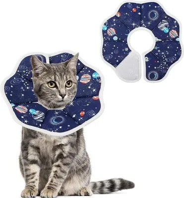 Image de Collier pour chat - Collier pour chat - Collier de protection pour chat - Collier pour chat opération