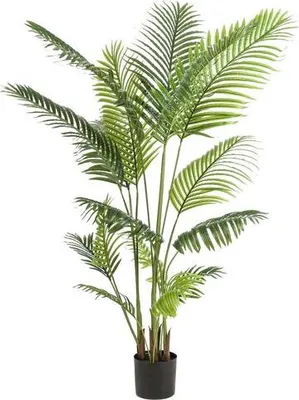 Produktbild von Kunstpalme Howea forsteriana 160cm Kentia-Palme pflegefrei Deko-Highlight