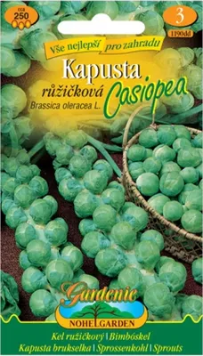 Immagine prodotto di Cavoletti di Bruxelles CASIOPEA