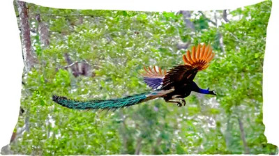 Produktbild von MuchoWow® Zierkissen Sofakissen Wohnzimmer Dekokissen 50x30 cm Pfau - Fliegen - Wald - Blau - Wohnzimmerdekoration - Polster mit Photo