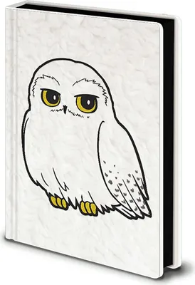 Produktbild von Pyramid – Premium notatnik A5 Hedwige z motywem Harry Potter, oficjalny produkt