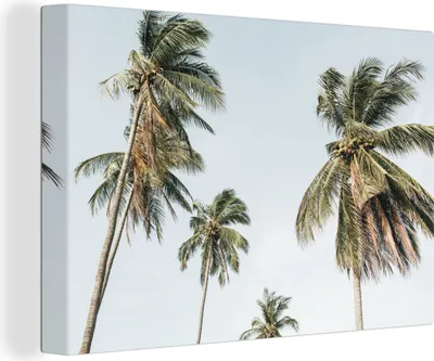 Produktbild von OneMillionCanvasses® - Leinwandbilder - 150x100 cm, Palmen - Sommer - Tropisch, Wandbilder Kunstdruck Wanddekoration - Foto auf Leinwand - Gemälde auf Holzrahmen
