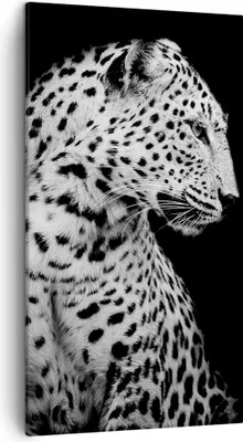 Produktbild von Bild auf Leinwand - Leinwandbild - Einteilig - Leopard Panther Katze - 45x80cm - Wand Bild - Wanddeko - Wandbilder - Leinwanddruck - Bilder - Wanddekoration - Leinwand bilder - Wandbild - PA45x80-4919