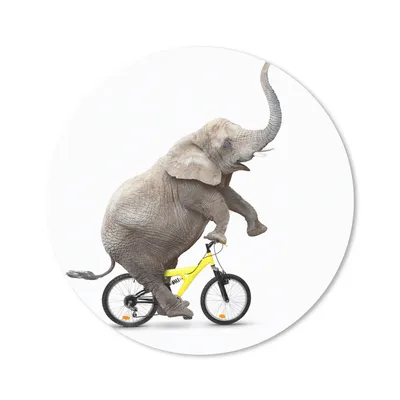 Produktbild von MuchoWow® Mauspad Mousepad Elefant - Fahrrad - Weiß 20x20 cm - Mousepads - Maus Mat - Pad - Mausunterlage - Schreibtischmatte