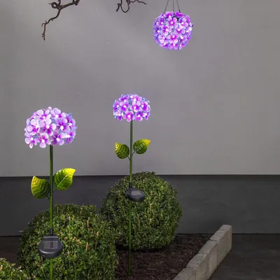 Immagine prodotto di Bacchetta solare a LED 'Hortensia', rosa