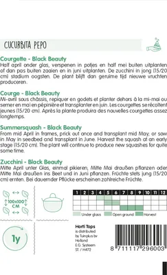 Produktbild von Zucchini Black Beauty | Zucchinisamen von Hortitops