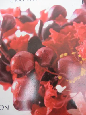 Produktbild von Chinesische Kräuselmyrte Black Diamond ® Crimson Red - Lagerstroemia indica - 40-60cm