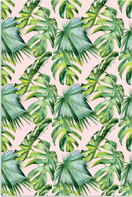 Produktbild von MuchoWow® Poster Blumen - Tropisch - Blätter 80x120 cm - Papierdruck