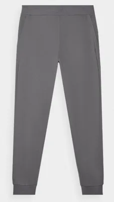 Obrázok produktu pre Pánske tepláky 4F 4FWMM00TTROM0942-25S - sivé r. S