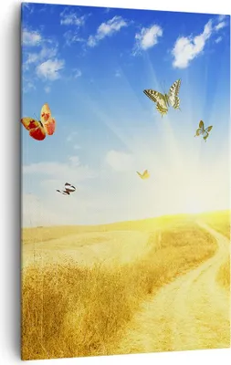Produktbild von Bild auf Leinwand - Leinwandbild - Einteilig - Schmetterlinge Wiese Gras - 80x120cm - Wand Bild - Wanddeko - Wandbilder - Leinwanddruck - Wanddekoration - Leinwand bilder - Wandbild - PA80x120-0517