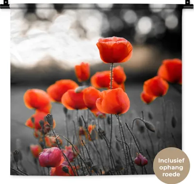 Produktbild von MuchoWow® Wandteppich Wandbehang Rote Mohnblumen vor schwarzem und weißem Hintergrund 60x60 cm Tapisserie Dekoration Wandtuch - Dekorationen - Wand Decke