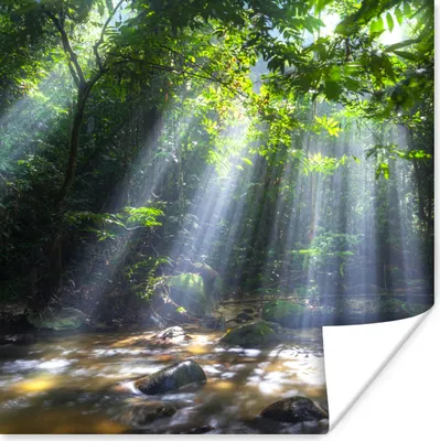 Produktbild von MuchoWow® Poster Sonnenstrahlen dringen durch die Bäume in den Regenwald von Malaysia 100x100 cm - Babyzimmer