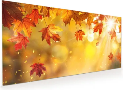 Produktbild von Küchenrückwand Spritzschutz Glas mit Motiv Herbstblätter Sonne 40 x 40 cm