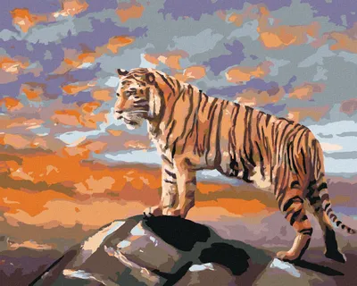 Produktbild von Zuty - Malen nach Zahlen - TIGER AUF EINEM FELSEN (D. RUSTY RUST), 40x50 cm, mit Keilrahmen (bereits gespannt)