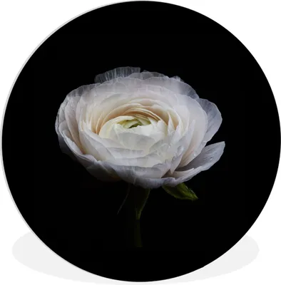 Produktbild von MuchoWow® Rundes Wandbild - Runde Bilder Blume - Schwarz - Weiß Ø 30 cm Kreis Wanddekoration Kunststoff - Wandkreis - Wandschmuck - Schlafzimmer - Bilder - Der Kreis - Kunst für die Wohnung - Plastik - Kunstdruck - Wandbild