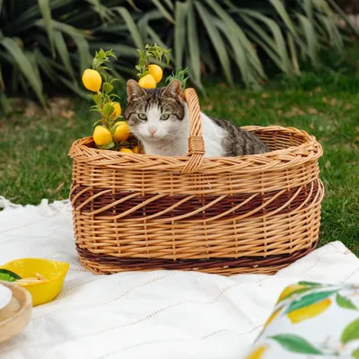Produktbild von Creative Home Große Picknickkorb Weidenkorb mit Henkel Einkaufskorb - 52 x 35 x 36 cm