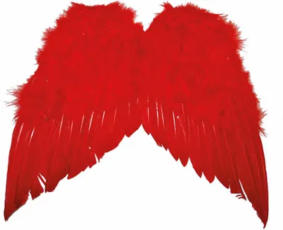 Produktbild von Engelsflügel für Kinder 35 x 34 cm | Federn Rot