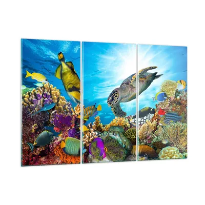 Produktbild von Bilder auf glas - Riff Koralle Fisch - 105x70cm - Glasbilder - Wandbilder - Kunstdruck - zum Aufhängen bereit - Wanddekoration aus Glas - Glas Bilder - Wandbild auf Glas - 3 Teile - GCE105x70-3704