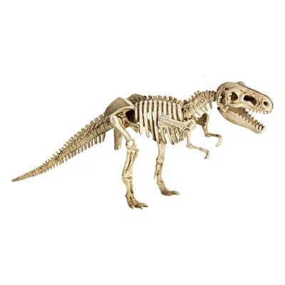 Produktbild von Coppenrath 21957 - Die Spiegelburg - T-Rex World - Ausgrabungsset T-Rex