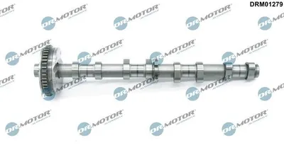 Obrázek produktu pro Camshaft Ss. Vw Passat 1.8Tsi 07-