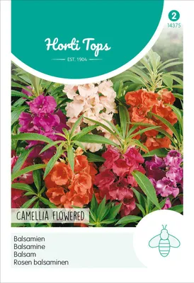 Productafbeelding van Rosenbalsemencamellia-mix | Bloemenzaden van Hortitops