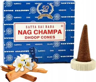 Image de Cônes d'encens Nag Champa Dhoop