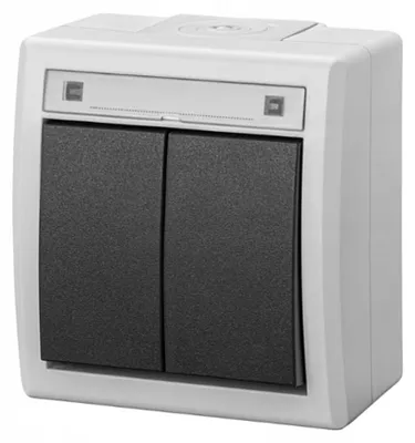 Produktbild von AQUANT IP55 Aufputz-Doppelschalter wasserdicht grau EPN 5002-10