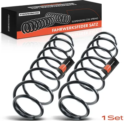 Produktbild von Frankberg 2x Fahrwerksfeder Hinterachse  für Renault Laguna II BG0/1 2001-2007