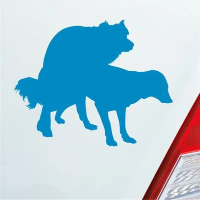 Produktbild von Auto Aufkleber Hunde decken Spaß Liebe Paaren Dog 12,5x10 cm Hellblau Sticker Heckscheibenaufkleber