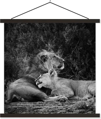 Produktbild von MuchoWow® Textilposter Löwen - Schwarz - Wilde Tiere 90x90 cm mit schwarzem Rahmen - Magnetisches