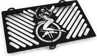 Obrázek produktu pro Kryt chladiče ZIEGER kompatibilní s Yamaha MT-03 BJ 2006-14 Pinup černý