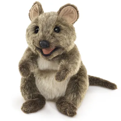 Produktbild von Folkmanis Handpuppe Kurzschwanzkänguru 3170 Känguru 36 cm