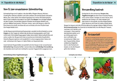 Obrázek produktu pro Welcher Schmetterling ist das? Kindernaturführer