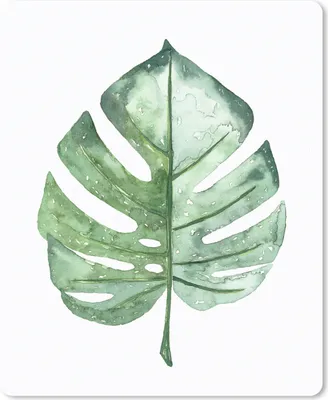 Produktbild von MuchoWow® Mauspad Mousepad Aquarell - Monstera - Blatt 19x23 cm - Mousepads - Maus Mat - Pad - Mausunterlage - Mauspads - Spielen