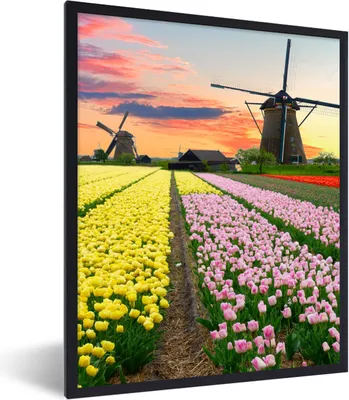 Produktbild von MuchoWow® Gerahmtes Poster Windmühle - Tulpen - Blumen - Niederlande 60x80 cm - Poster mit Schwarzem Bilderrahmen Wandposter Rahmen Foto Bilder - Premium - Wanddeko Wohnzimmer