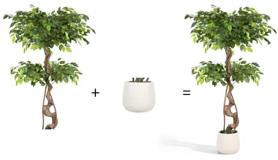 Obrázek produktu pro Umělá rostlina Ficus, výška 120 cm, 868 listů, 14 větví, bílý květináč