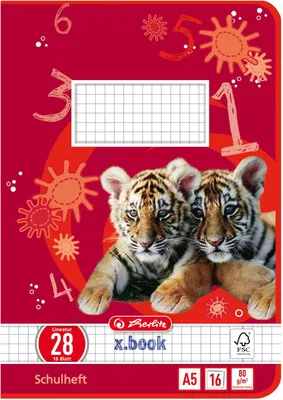 Produktbild von Herlitz Schulheft x.book DIN A5 Lineatur 28 / kariert 16 Blatt