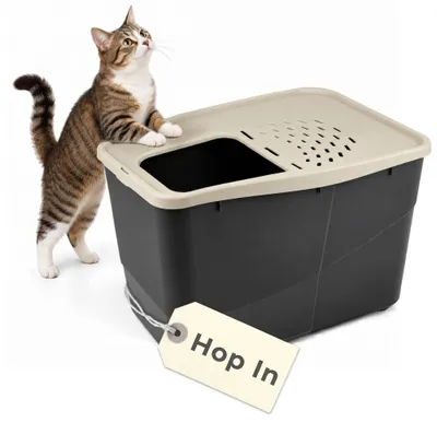 Produktbild von Hop In Katzenklo XXL große Katzen Klo Hoch Katzentoilette geschlossen Katzenklo mit Deckel Katzentonne Oben Einstieg Katzen WC Top Eingang Katzentoilette hoher Rand